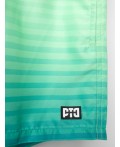 Шорты текстильные плавательные для мужчин, длинные white, light green
