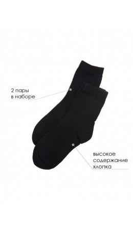 Носки для мальчика, 2 пары черный