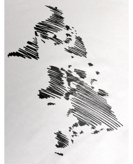 Футболка мужская белый_карта