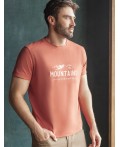 Футболка мужская кирпичный_горы