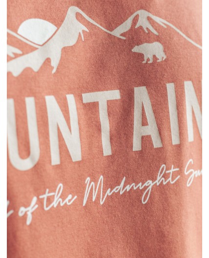 Футболка мужская кирпичный_горы