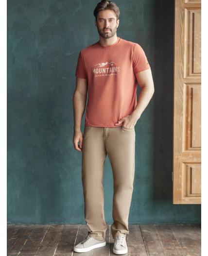 Футболка мужская кирпичный_горы