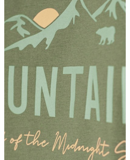 Футболка мужская т.оливковый_горы