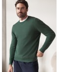 Джемпер мужской дымчатый зеленый