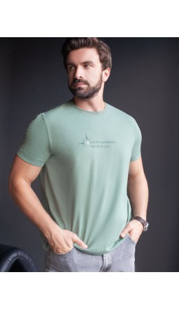 Футболка мужская св.оливковый_компас