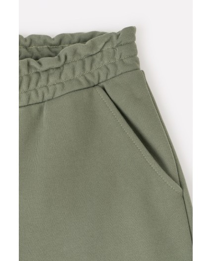 ЕВТ 4045/24/оливковый серый брюки