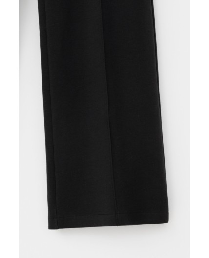 ЕВТ 4120/черный брюки