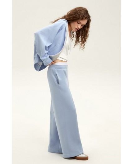 ЕВТ 4149/голубой кашемир брюки