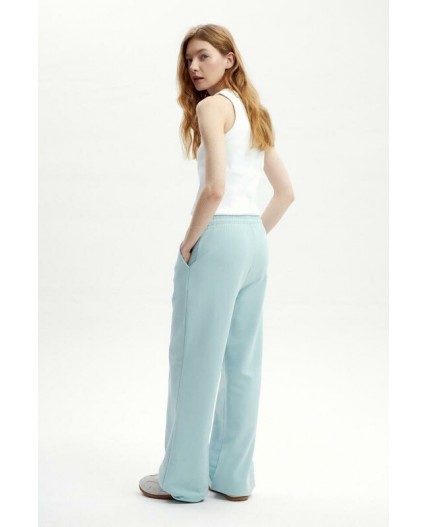 ЕВТ 4153/ментоловый брюки