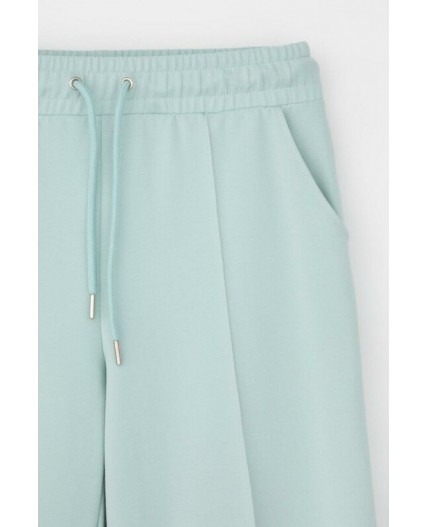 ЕВТ 4153/ментоловый брюки