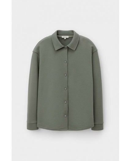 ЕВТ 3337/пряный базилик рубашка