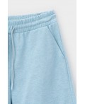Е 40012/голубой шорты