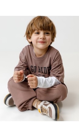 КР 400829/капучино 1312 к638 брюки