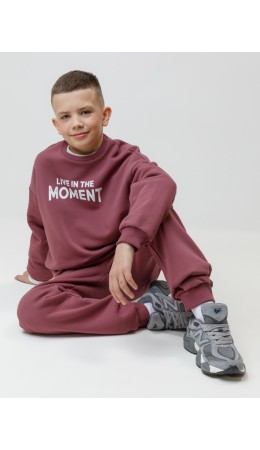 КР 400837/коричневый 1614 к634 брюки