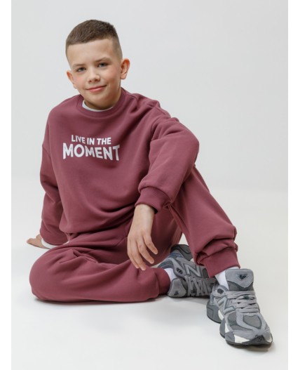 КР 400837/коричневый 1614 к634 брюки