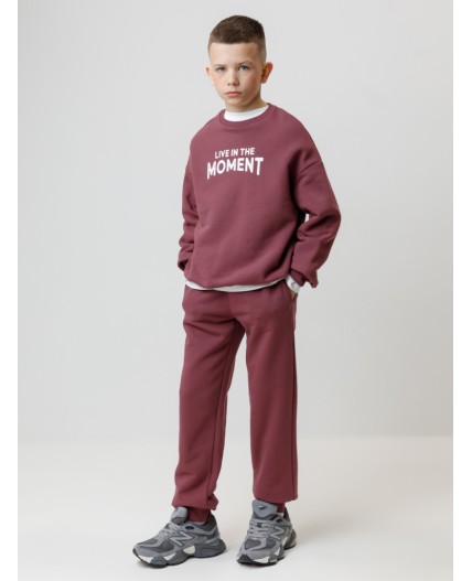 КР 400837/коричневый 1614 к634 брюки