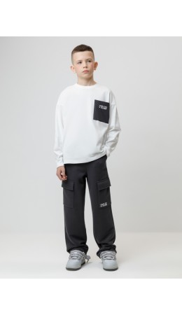 КР 400859/антрацитовый 3902 к602 брюки