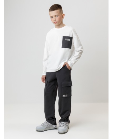 КР 400859/антрацитовый 3902 к602 брюки