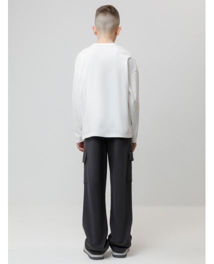 КР 400859/антрацитовый 3902 к602 брюки