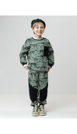 КР 400825/хаки 5107 Н029 к612 брюки