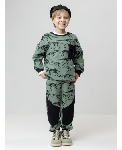 КР 400825/хаки 5107 Н029 к612 брюки