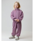 КР 400872/лиловый 3220 к649 брюки