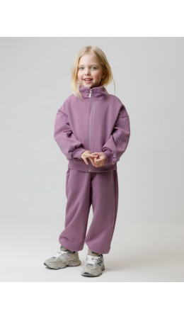 КР 400872/лиловый 3220 к649 брюки