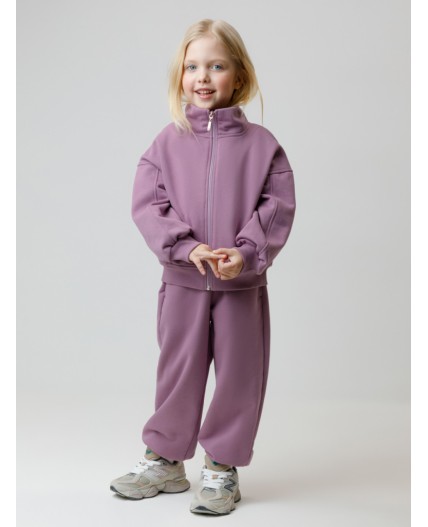 КР 400872/лиловый 3220 к649 брюки