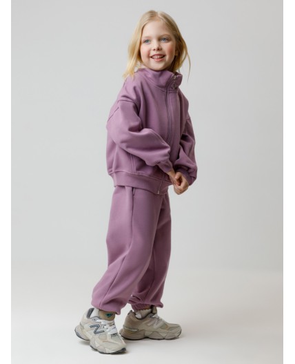 КР 400872/лиловый 3220 к649 брюки