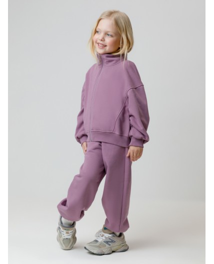 КР 400872/лиловый 3220 к649 брюки