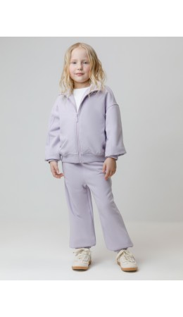 КР 400872/сиреневый 3710 к647 брюки