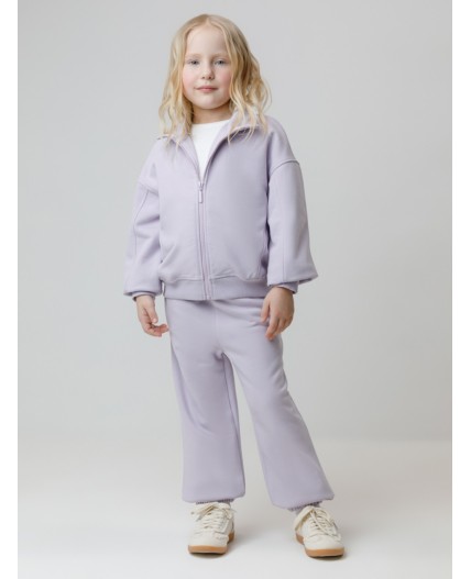 КР 400872/сиреневый 3710 к647 брюки