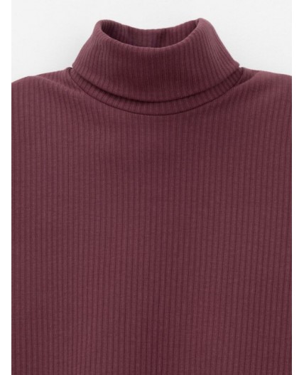 КР 302886/бордовый 1411 к653 джемпер (водолазка)