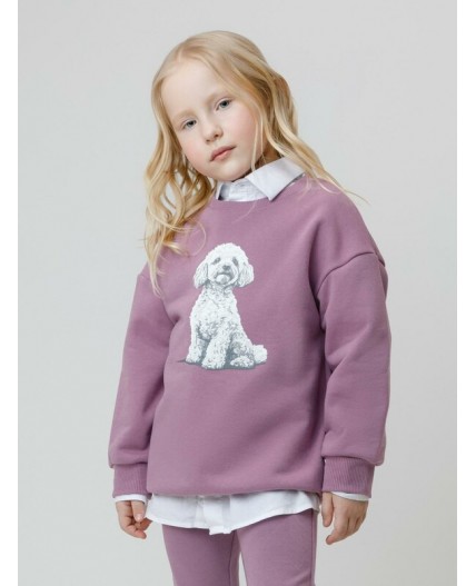 КР 302883/лиловый 3220 к649 джемпер (свитшот)