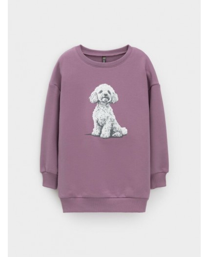 КР 302883/лиловый 3220 к649 джемпер (свитшот)