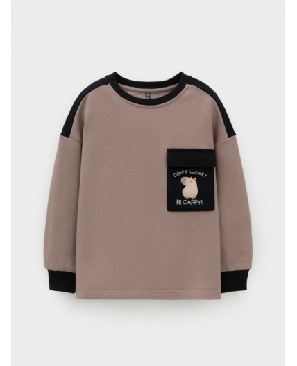 КР 302772/древесный к644 джемпер (свитшот)