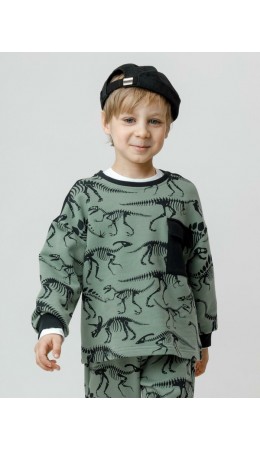 КР 302773/хаки 5107 Н029 к612 джемпер (свитшот)