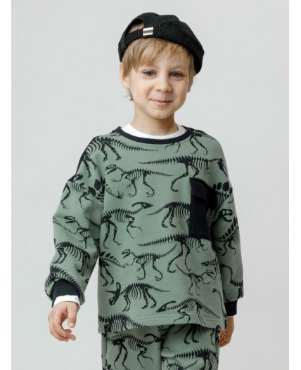 КР 302773/хаки 5107 Н029 к612 джемпер (свитшот)