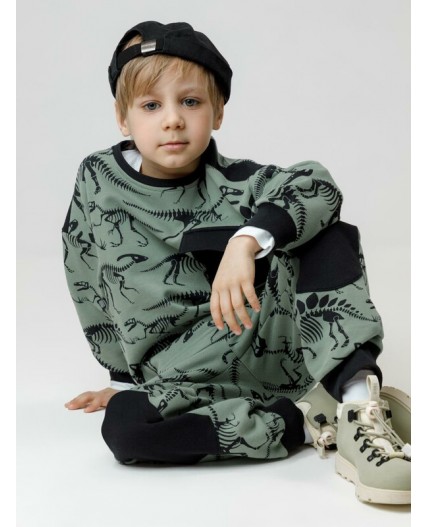 КР 302773/хаки 5107 Н029 к612 джемпер (свитшот)