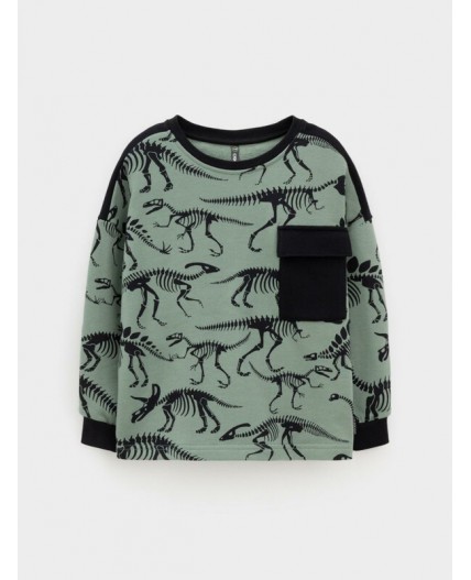 КР 302773/хаки 5107 Н029 к612 джемпер (свитшот)