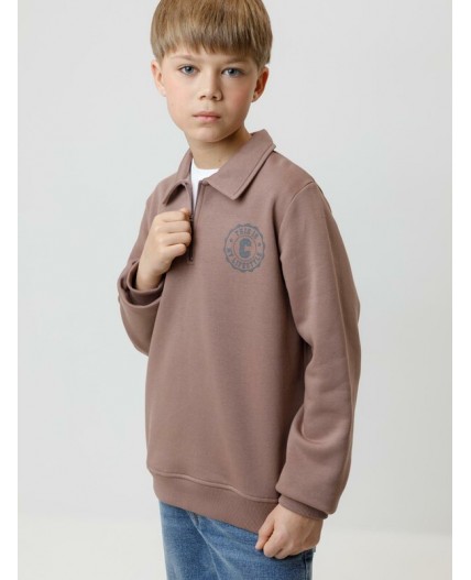 КР 302798/капучино 1312 к640 джемпер (свитшот)