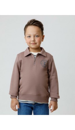 КР 302798/капучино 1312 к638 джемпер (свитшот)