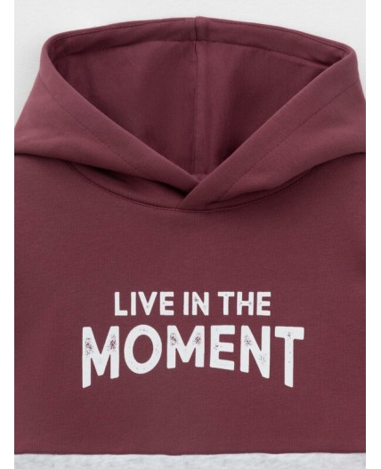 КР 302214/коричневый,св.серый меланж к632 джемпер (худи)