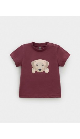 КР 302907/коричневый 1614 к630 фуфайка (футболка)