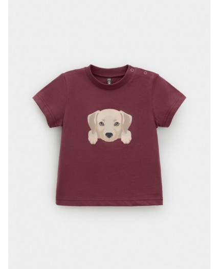 КР 302907/коричневый 1614 к630 фуфайка (футболка)