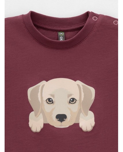 КР 302907/коричневый 1614 к630 фуфайка (футболка)