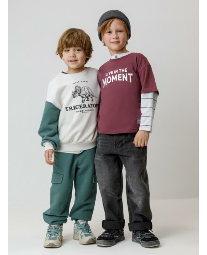 КР 302913/коричневый 1614 к632 фуфайка (футболка)