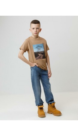 КР 302840/коричневый 1038 к586 фуфайка (футболка)