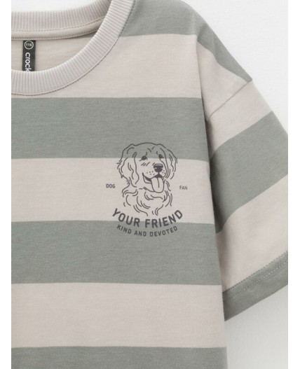 КР 302914/оливковый,серо-бежевый,полоска к642 фуфайка (футболка)