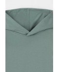 КР 302680-1/полынь джемпер (худи)